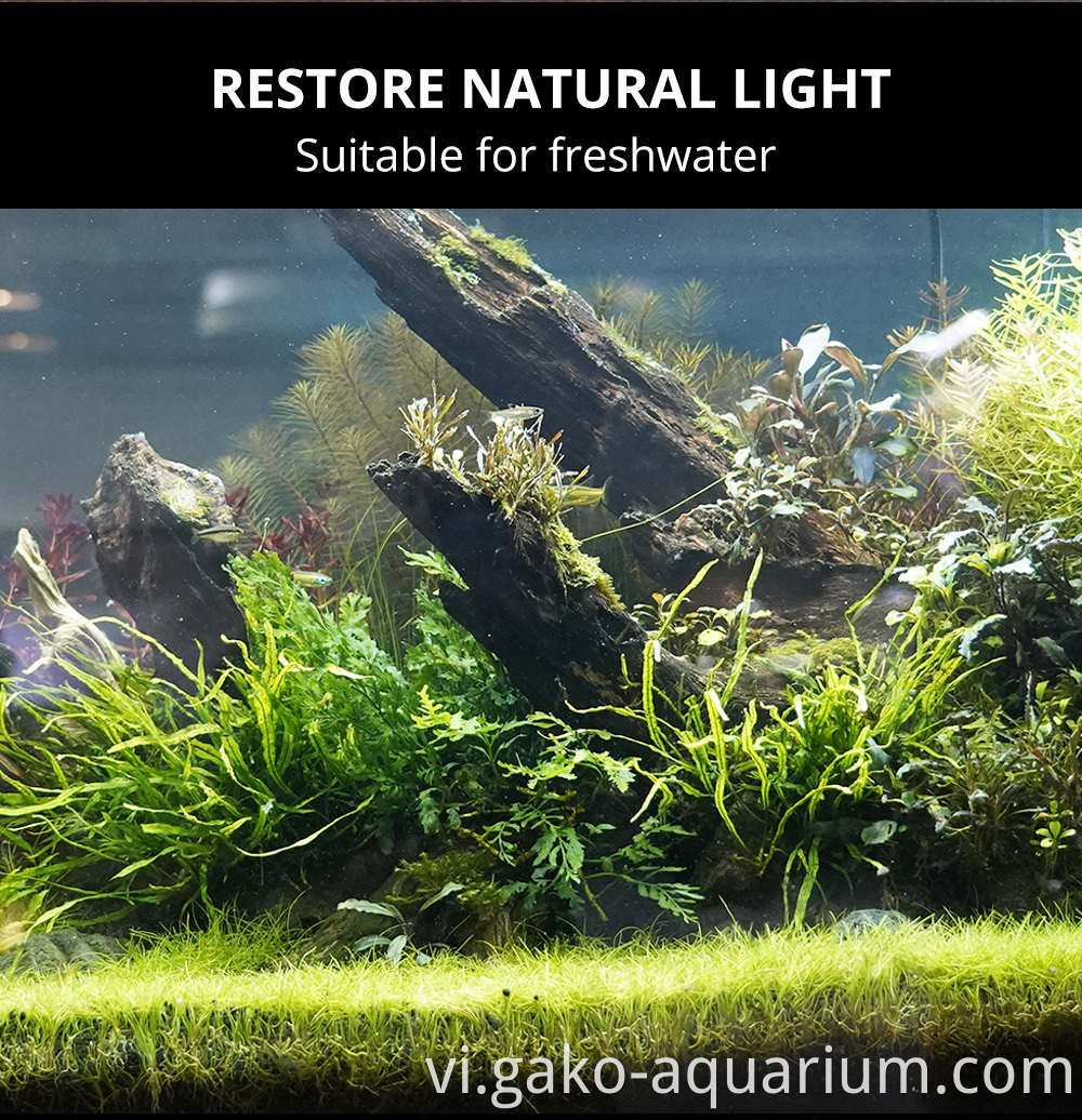 High water freshwater aquarium led light (3)